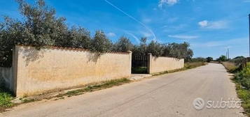 Castelvetrano villetta con 4700 mq di giardino