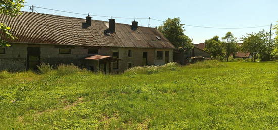 Bauernhaus,Scheune,Einliegerwohnung,Wiese,Balkon,teilsaniert