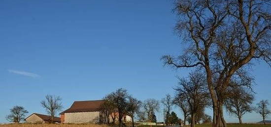 Landwirtschaftliche Hofestelle mit Wohnhaus und Stall