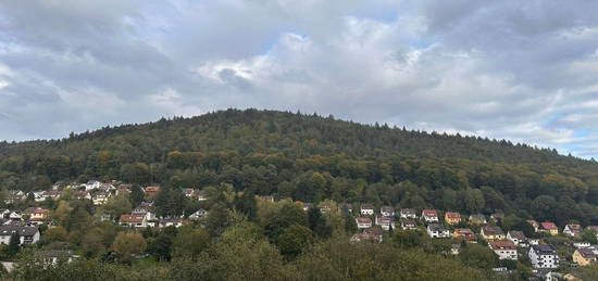 Wunderschöne 2-Zimmer Wohnung DG mit traumhafter Aussicht