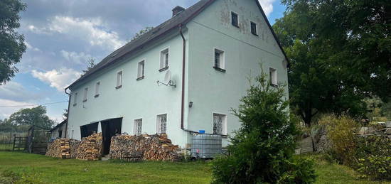 Rodinný dům, 374 m² + 675 m² pozemek, Orasín, Boleboř