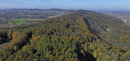 Ein Stück Wiehengebirge! 6.234 m² Mischwald als inflationsgeschützte Kapitalanlage...