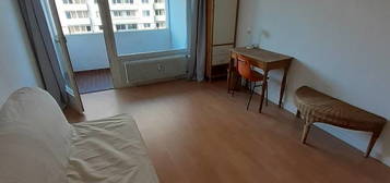 Location appartement 1 pièce 34 m²