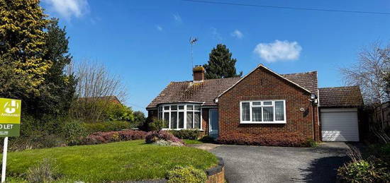 Detached bungalow to rent in Old Dover Road, Canterbury CT1