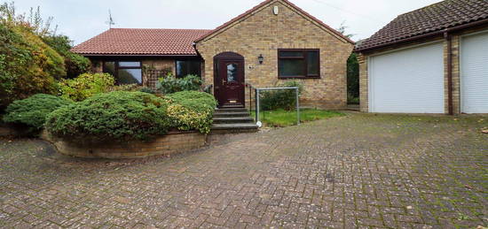 Detached bungalow to rent in Mill Lane, Fordham, Ely CB7