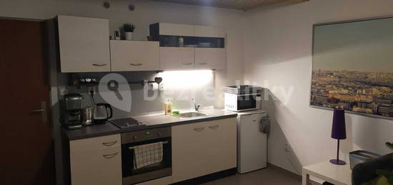 Pronájem bytu 1+1 30 m², Stará, Brno