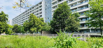 Erstbezug nach Renovierung - Wohnung mit großen Balkon !  "Bezugsfertig ab Dezember"