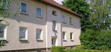 Renovierte 3 - Raum Wohnung im Erdgeschoss * sehr ordentliches Wohnhaus in Röblingen am See * gepflegte Mieterschaft