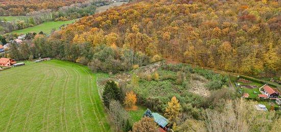 Prodej chaty 32 m2, pozemek 1 070 m2 + 1 158 m2 cesta, Habrovany u Řehlovic