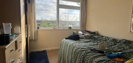 1 bedroom house share