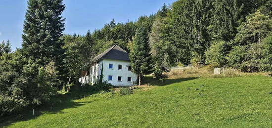 Bauernhof samt Auszugshaus (Sternchenbau) mit land- und forstwirtschaftl. Grund in idyllischer Alleinlage