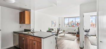 229 Chrystie St Unit 333A, New York, NY 10002