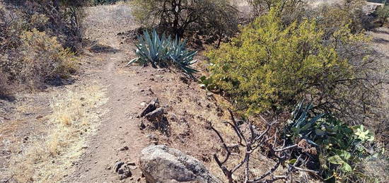 Finca rústica en venta en Calle Vega Vieja, Valsequillo de Gran Canaria