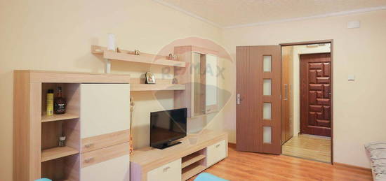 Apartament cu 1 cameră de vânzare în zona Rogerius