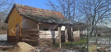 Tiszajenőn 2 szobás ház, nagy telekkel, sok gyümölcsfával eladó.