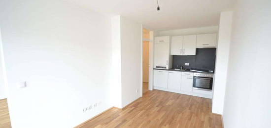 Puntigam - Brauquartier - 35m² - 2 Zimmer - Singlewohnung - großer Balkon