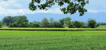 Exklusive Garten-Wohnung mit unverbaubarem Bergblick, Weilheim