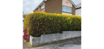 Detached house to rent in Windsor Park, Bangor BT20