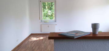 Moderne Wohnung im Grünen !   2 1/2 Zimmer mit Südbalkon und EBK in Steinheim an der Murr