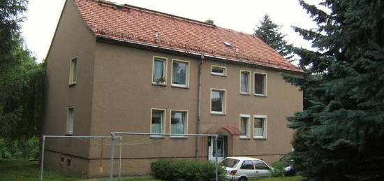 Schöne 3- Raumwohnung in Lichtenstein