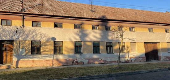 Zemědělská usedlost 3251 m2, Měrovice nad Hanou se stavebním pozemkem