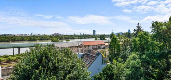 Stylische Wohnung mit direkten Donaublick und großer Balkonterrasse sucht LiebhaberIn