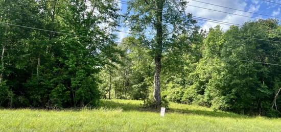 Lot 2 Hwy 24, Centreville, MS 39631