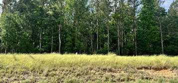 Lot 7 Hwy 24, Centreville, MS 39631