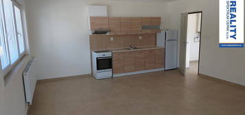 Pronájem bytu 1+kk 41 m²