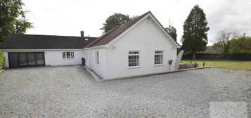 Detached bungalow to rent in Folgate Lane, Costessey NR8