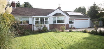 Semi-detached bungalow for sale in The Rise, Darras Hall, Ponteland, Newcastle Upon Tyne, Northumberland NE20