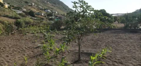 Finca r&#xFA;stica en Median&#xED;as