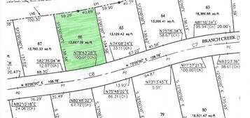 Lot 66 Branch Creek St, Woodbine, GA 31569