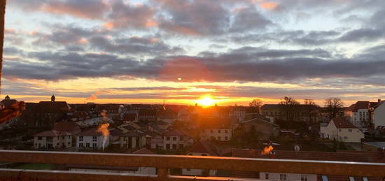 Geräumige 1-Raumwohnung mit Kamin und Balkon