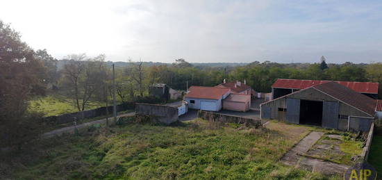 Maison  à vendre, 5 pièces, 3 chambres, 118 m²