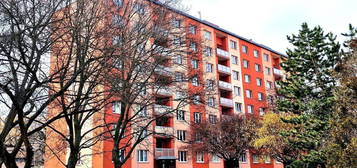 Byt 1+1, 35 m², Studentská, Jirkov