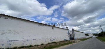 Quinta de renome em plena Vidigueira