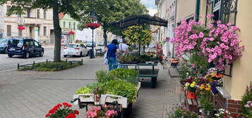 2-Zimmer- Wohnung in der Waldstadt