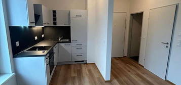 3 Zimmer Wohnung - WG geeignet