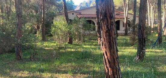 Pula, is Morus, villa con giardino vicino al mare