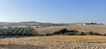 Casa rural en Arcos de la Frontera