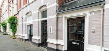 Newtonstraat 297