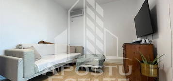 Apartament 2 camere, curte prorpie, Mosnita Noua