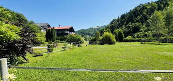 Top gepflegter Pferdehof mit Wohnhaus, Stallung, Dorfgebiet und Grünland - bezugsbereit und voll ausgestattet