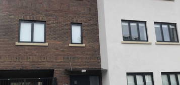 1 bed flat to rent