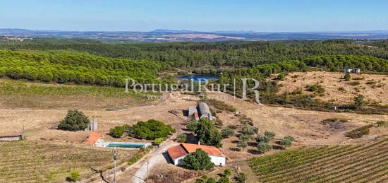 Herdade de 33 Hectares com Adega e Vinha