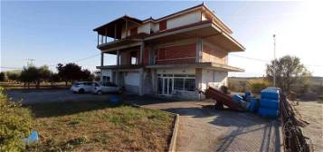 Haus zum Verkauf mit 2.500 m2 Fläche Alykes Katerini Greece