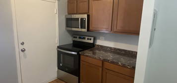 15 N Keeler Ave Unit 307, Chicago, IL 60624