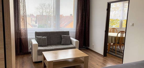 Pronájem bytu 1+1 36 m² (Jednopodlažní)