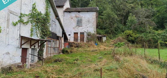 Maison avec terrain boiser